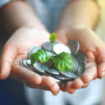 Greenwashing-o-que-é-e-como-evitar